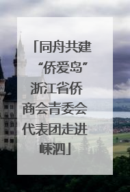同舟共建“侨爱岛” 浙江省侨商会青委会代表团走进嵊泗