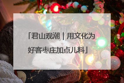 君山观潮｜用文化为好客枣庄加点儿料
