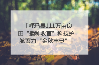呼玛县111万亩良田“播种收官”科技护航蓄力“金秋丰景”