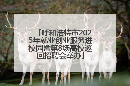 呼和浩特市2025年就业创业服务进校园暨第8场高校巡回招聘会举办