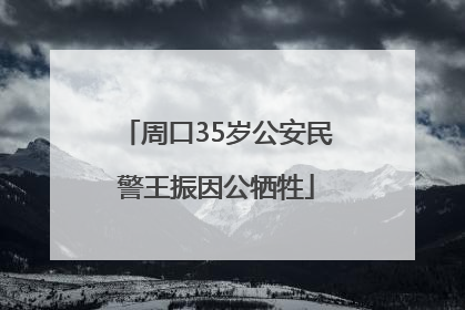周口35岁公安民警王振因公牺牲