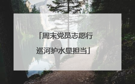 周末党员志愿行 巡河护水显担当