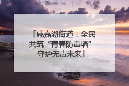 咸嘉湖街道：全民共筑“青春防毒墙” 守护无毒未来
