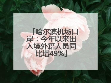 哈尔滨机场口岸：今年以来出入境外籍人员同比增49%