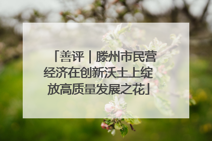 善评｜滕州市民营经济在创新沃土上绽放高质量发展之花