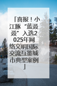 喜报！小江豚“蓝叒叒”入选2025年网络文明国际交流互鉴城市典型案例