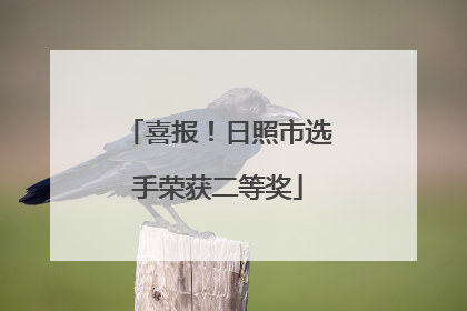 喜报！日照市选手荣获二等奖