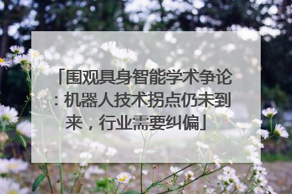 围观具身智能学术争论：机器人技术拐点仍未到来，行业需要纠偏