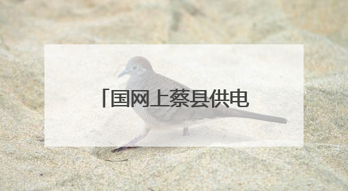 国网上蔡县供电公司：供电服务在身边 安全咨询“零距离”