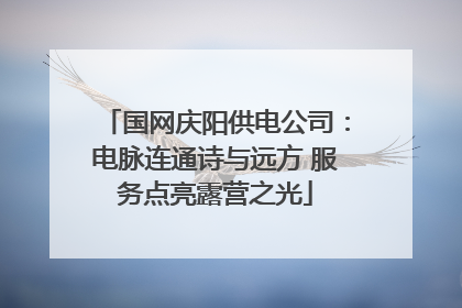 国网庆阳供电公司：电脉连通诗与远方 服务点亮露营之光