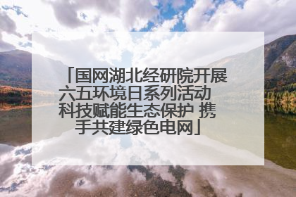 国网湖北经研院开展六五环境日系列活动 科技赋能生态保护 携手共建绿色电网
