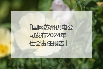 国网苏州供电公司发布2024年社会责任报告