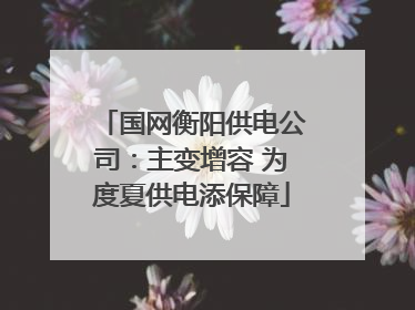 国网衡阳供电公司：主变增容 为度夏供电添保障