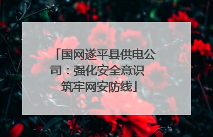 国网遂平县供电公司：强化安全意识 筑牢网安防线