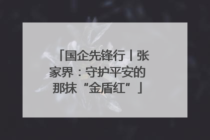 国企先锋行丨张家界：守护平安的那抹“金盾红”
