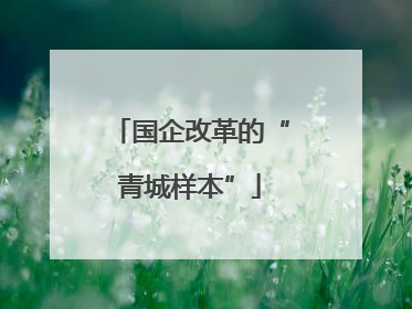 国企改革的“青城样本”