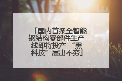 国内首条全智能钢结构零部件生产线即将投产 “黑科技”层出不穷