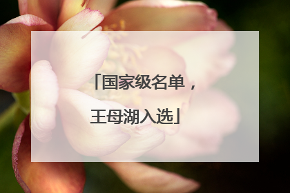 国家级名单，王母湖入选