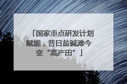 国家重点研发计划赋能，昔日盐碱滩今变“高产田”