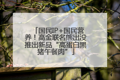 国民IP+国民营养！高金联名熊出没推出新品“高蛋白黑猪午餐肉”