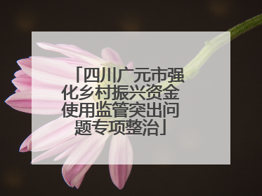 四川广元市强化乡村振兴资金使用监管突出问题专项整治