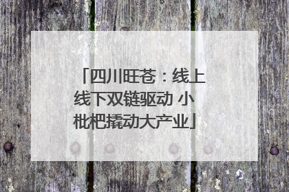 四川旺苍：线上线下双链驱动 小枇杷撬动大产业