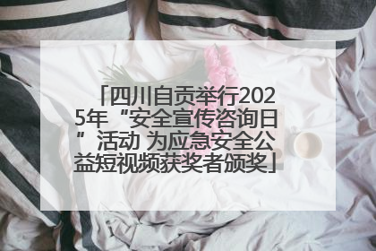 四川自贡举行2025年“安全宣传咨询日”活动 为应急安全公益短视频获奖者颁奖