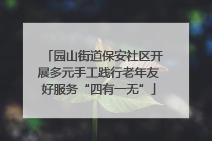 园山街道保安社区开展多元手工践行老年友好服务“四有一无”
