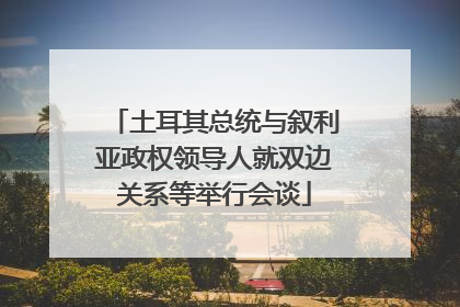 土耳其总统与叙利亚政权领导人就双边关系等举行会谈