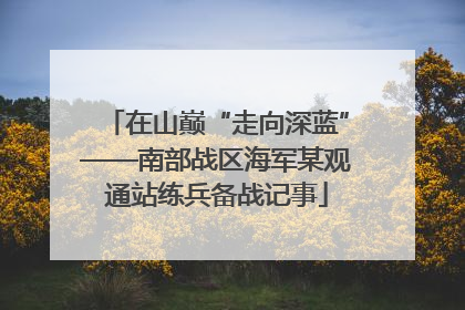 在山巅“走向深蓝”——南部战区海军某观通站练兵备战记事