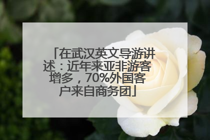 在武汉英文导游讲述：近年来亚非游客增多，70%外国客户来自商务团