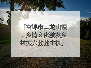 富锦市二龙山镇：乡情文化激发乡村振兴勃勃生机