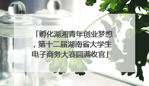 孵化湖湘青年创业梦想，第十二届湖南省大学生电子商务大赛圆满收官