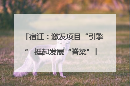 宿迁：激发项目“引擎” 挺起发展“脊梁”
