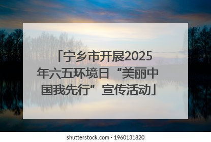 宁乡市开展2025年六五环境日“美丽中国我先行”宣传活动