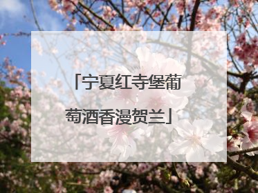 宁夏红寺堡葡萄酒香漫贺兰