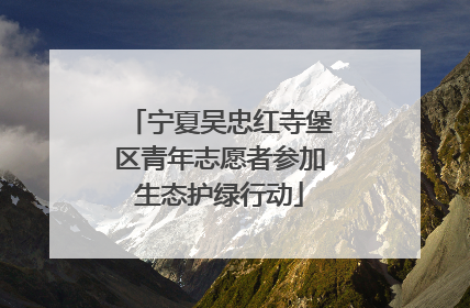 宁夏吴忠红寺堡区青年志愿者参加生态护绿行动