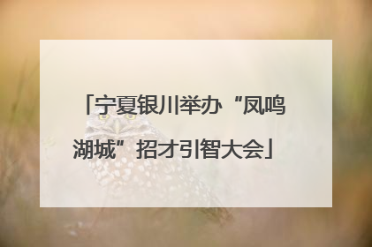 宁夏银川举办“凤鸣湖城”招才引智大会