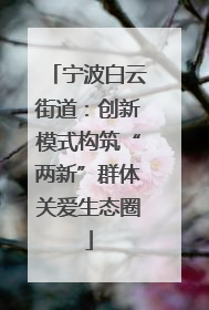 宁波白云街道：创新模式构筑“两新”群体关爱生态圈