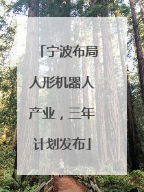 宁波布局人形机器人产业，三年计划发布