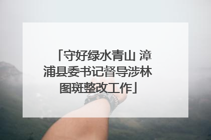 守好绿水青山 漳浦县委书记督导涉林图斑整改工作