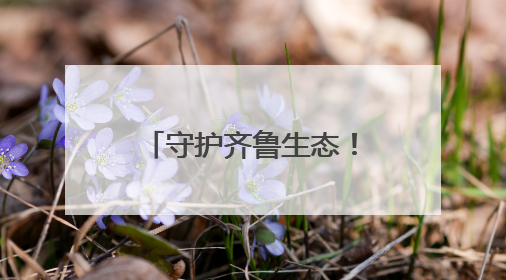 守护齐鲁生态！中粮可口可乐“冰柜精灵”公益行动在济南温暖启幕