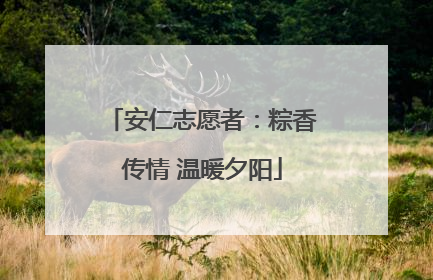 安仁志愿者：粽香传情 温暖夕阳