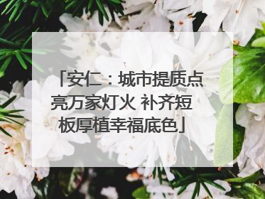 安仁：城市提质点亮万家灯火 补齐短板厚植幸福底色