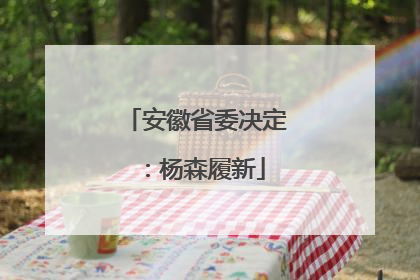 安徽省委决定：杨森履新