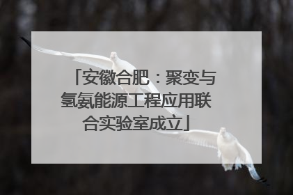 安徽合肥：聚变与氢氨能源工程应用联合实验室成立