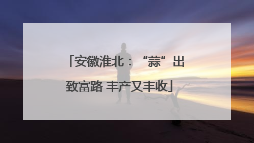 安徽淮北：“蒜”出致富路 丰产又丰收