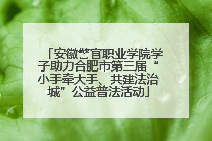安徽警官职业学院学子助力合肥市第三届“小手牵大手、共建法治城”公益普法活动