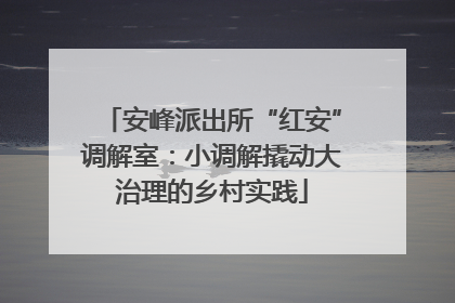 安峰派出所“红安”调解室：小调解撬动大治理的乡村实践
