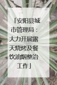 安阳县城市管理局：大力开展露天烧烤及餐饮油烟整治工作
